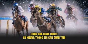 Cược Đua Ngựa Hubet Và Những Thông Tin Cần Quan Tâm