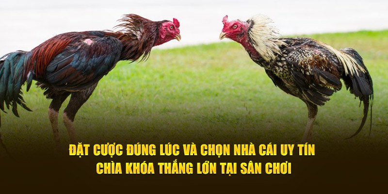 Đặt cược đúng lúc và chọn nhà cái uy tín chìa khóa thắng lớn tại sân chơi