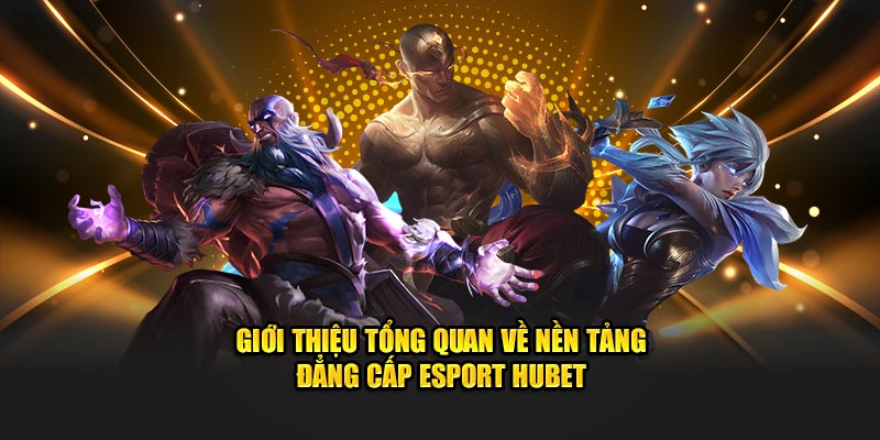 Giới thiệu tổng quan về nền tảng đẳng cấp Esport Hubet