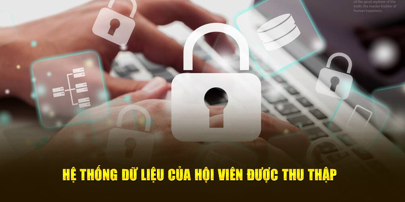 Hệ thống dữ liệu của hội viên được thu thập