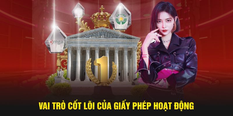 Vai trò chính yếu của giấy phép hoạt động